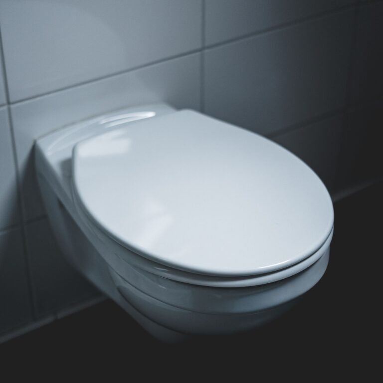Toilet repair in Lombard, IL